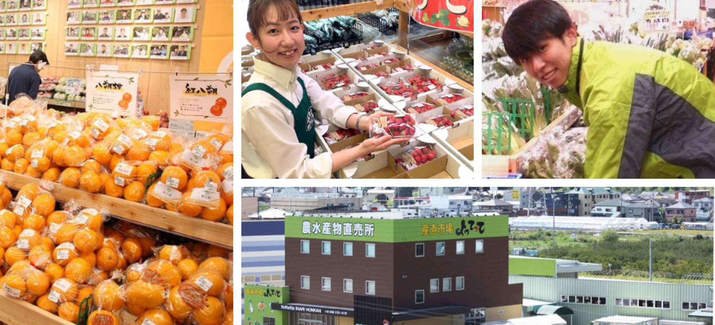 株式会社プラス (産直市場 よってって)