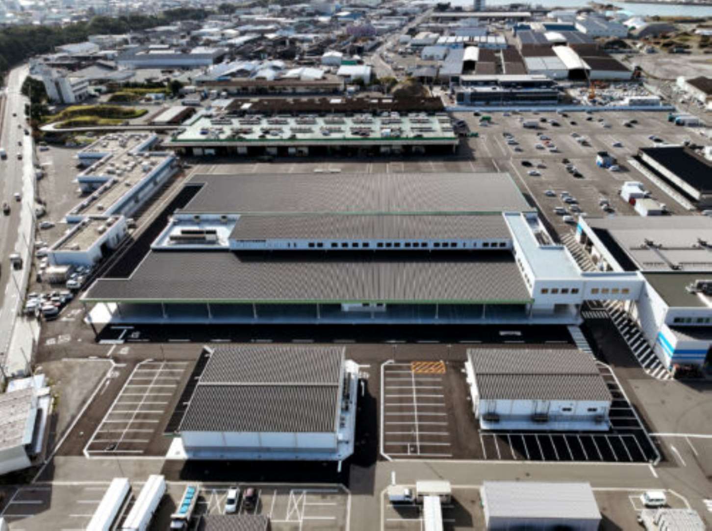 中央卸売市場青果卸売場棟外建替工事