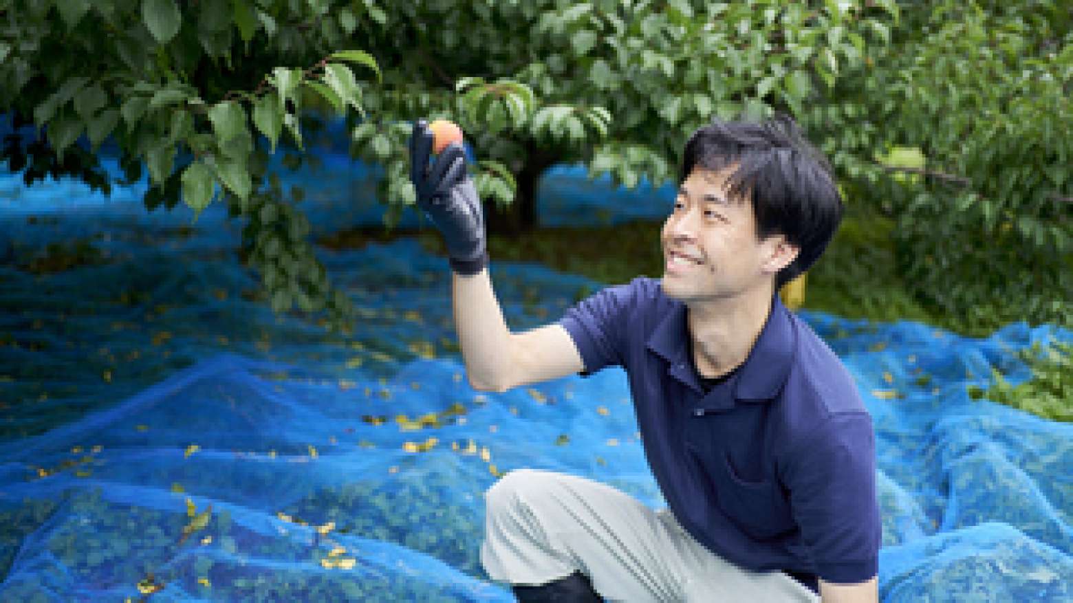 三津野 陽大